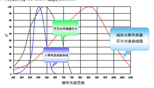 2024年12月10日 第5页