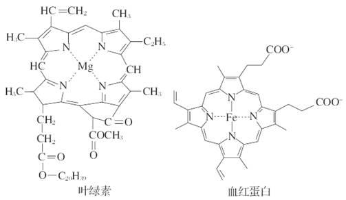 膨松剂的作用，深入解析其在不同领域的应用与重要性