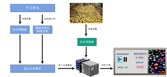 芯片成像原理，探索微观世界的视觉魔法