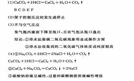 探究防酸粉的化学成分及其应用