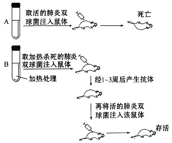 钒离子结构示意图及其相关性质研究