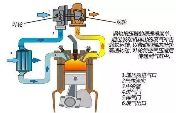 来了老弟 第2页