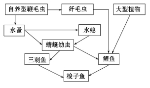 硫化体系的作用，探究其在不同领域的重要性