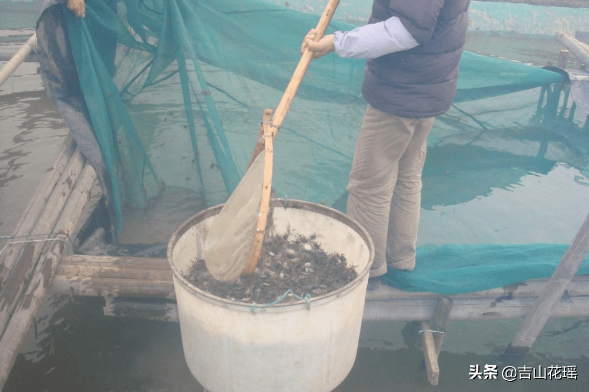 防伪码刮花了怎么办？应对策略与解决方案探讨