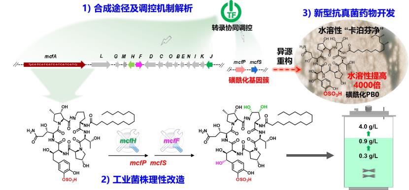 有机合成中间体，深入解析其含义与应用