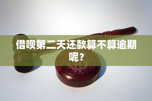 塑料反射，现代社会的双刃剑现象